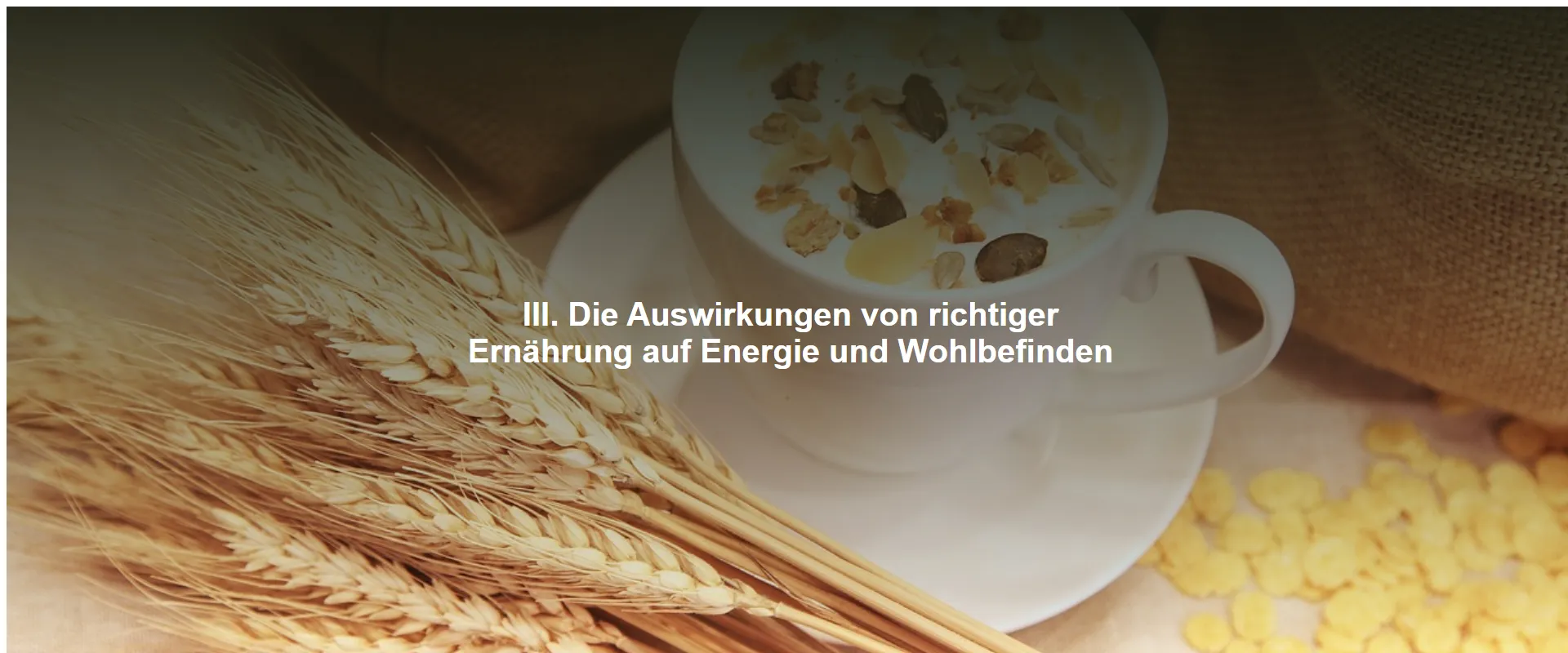 Die Auswirkungen von richtiger Ernährung auf Energie und Wohlbefinden