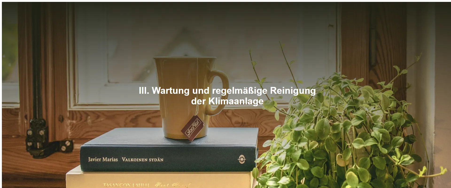 Wartung und regelmäßige Reinigung der Klimaanlage